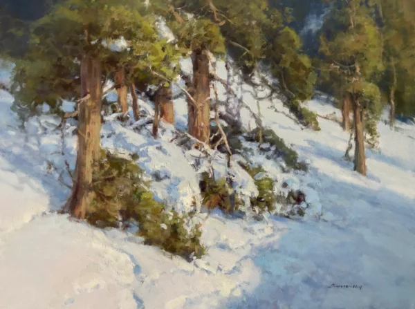 Snow Shoe Trail